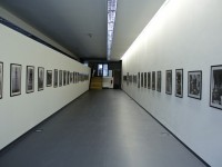 img_6502 copy