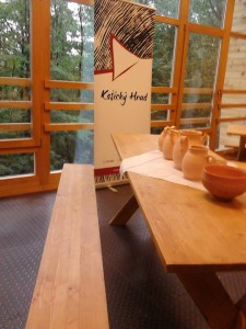 1185973_582864141754753_430778871_n